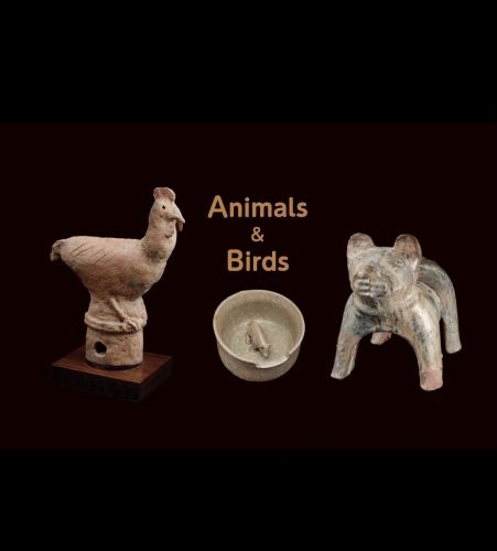 Animals & Birds 展