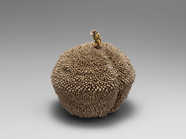 ギャラリーコレクション2026春