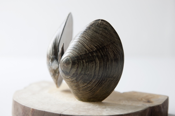 三宅一樹 木彫刻展「壺中の貝」