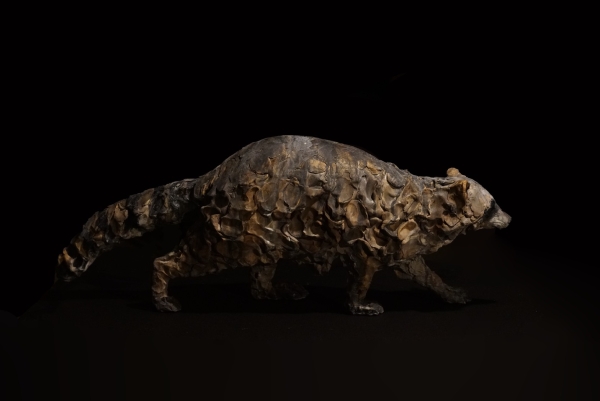 瀬戸優展ー森にまよえばー