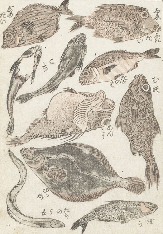 Hokusai and Chinese Late Ming porcelain with overglaze enamels (Nankin-akae)